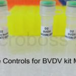 Negative Controls for BVDV PCR Kit Microboss
