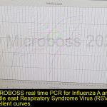 Influenza A and Middle east Respiratory Syndrome Virus PCR Kit Microboss