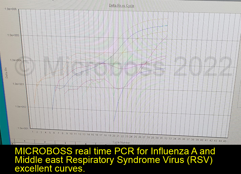 Influenza A and Middle east Respiratory Syndrome Virus PCR Kit Microboss