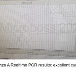 Influenza A PCR Kit Microboss