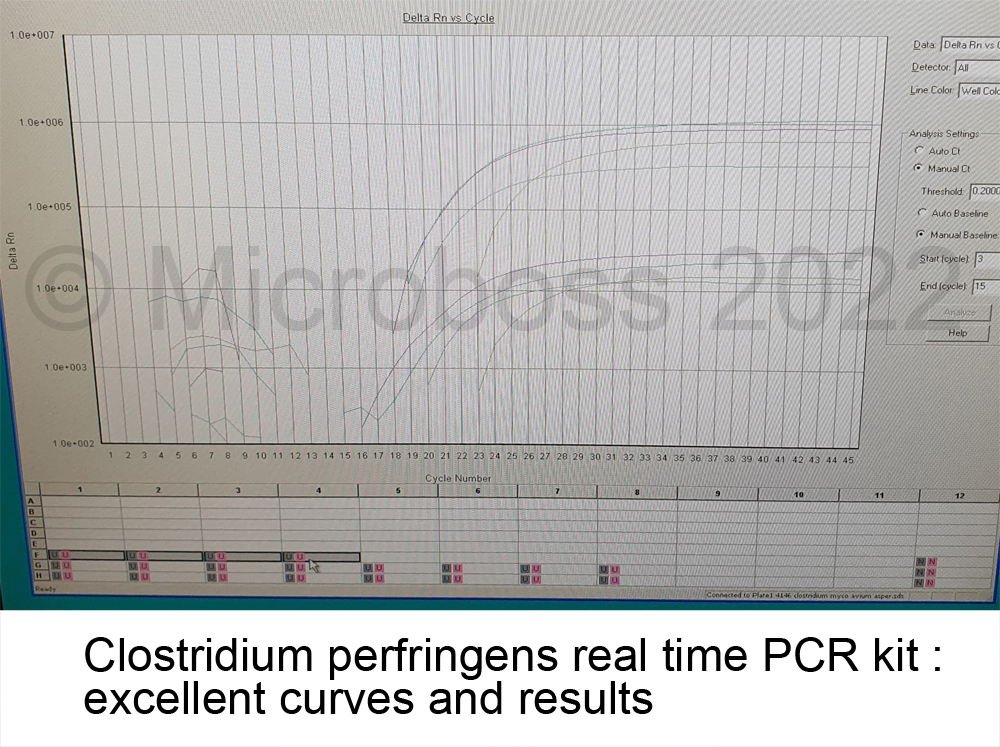 Clostridium-perfringens PCR Kit Microboss