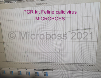 Feline Calicivirus PCR Kit Microboss