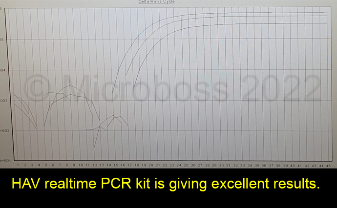 HAV MB-FR216 PCR Kit Microboss