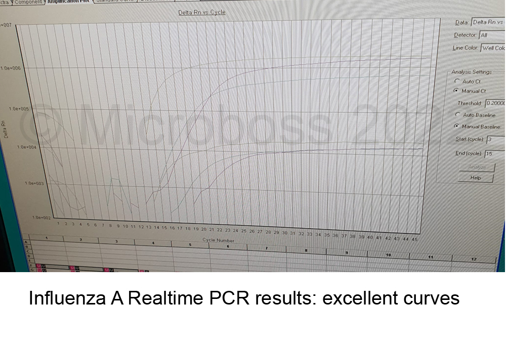 Influenza A PCR Kit Microboss