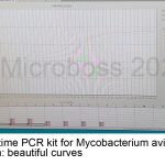 Mycobacterium avium PCR Kit Microboss