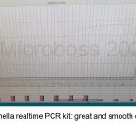 Salmonella PCR Kit Microboss